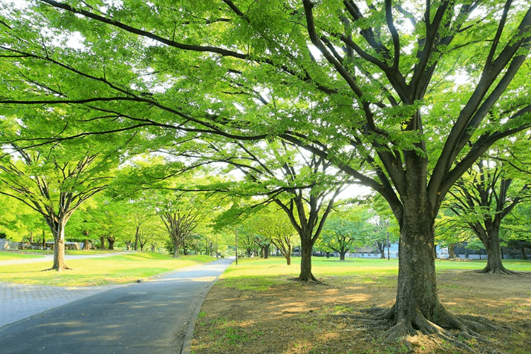水と緑に囲まれた利便性の高いロケーション