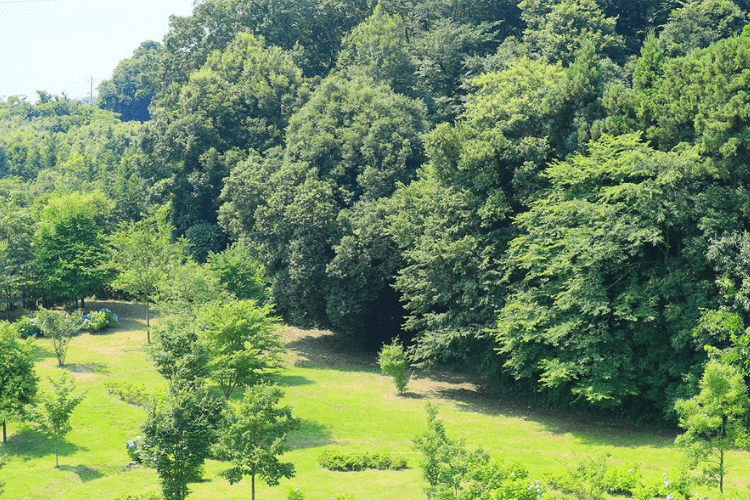 眼前に広がる自然と利便性が調和する住環境