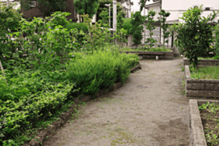 散策路・菜園スペースもあり