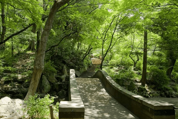 自然や文化を身近に感じ生活に便利な住環境