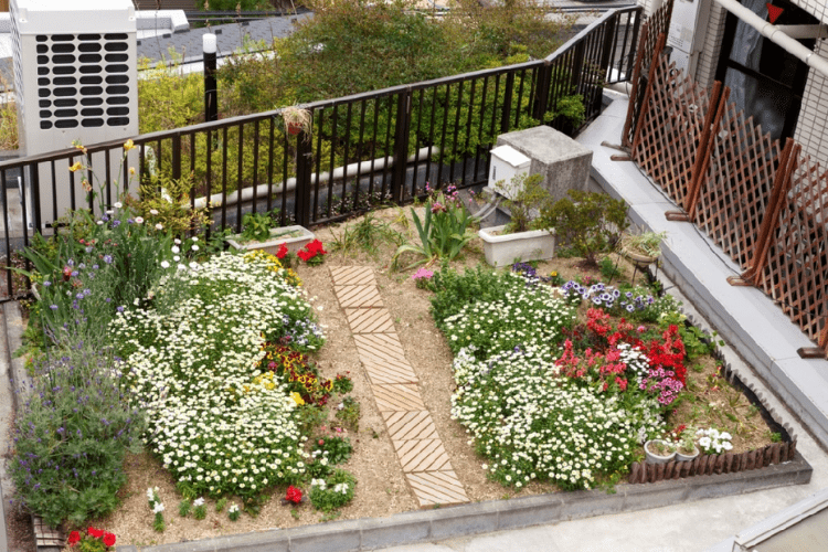 色彩豊かな草花が植えられた「屋上庭園」
