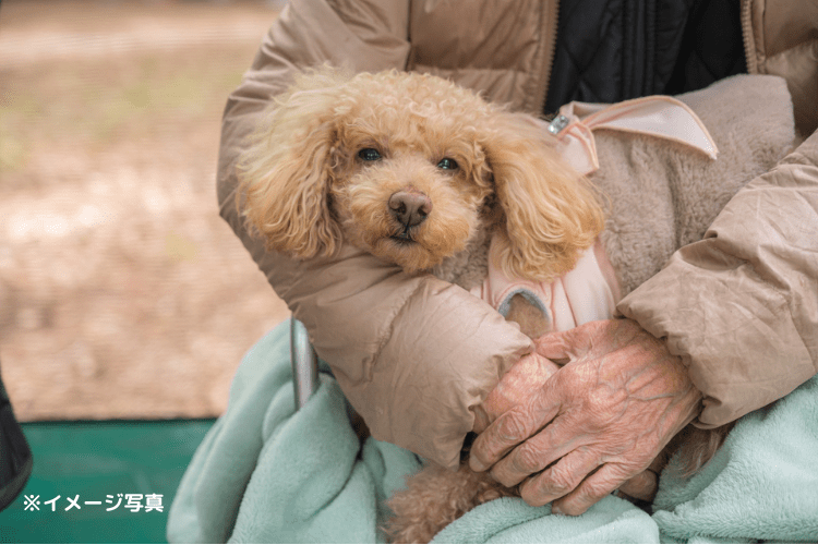 愛犬・愛猫との入居も可能