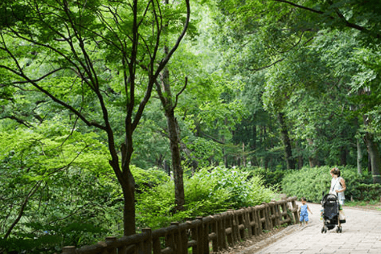 自然に包まれのどかな時間が流れる周辺環境