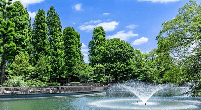 自然と都市の利便が穏やかに調和する武蔵野の住環境イメージ