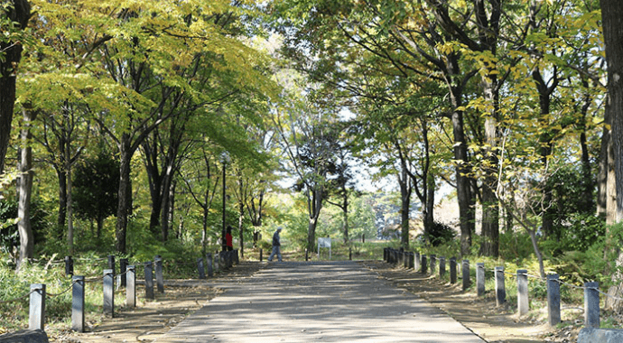 チャームプレミア 浜田山おすすめポイント