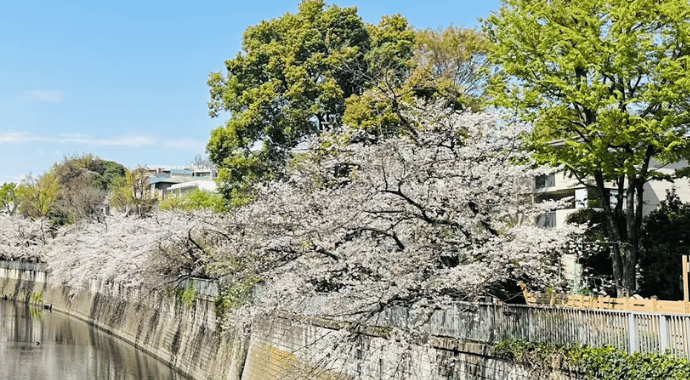 自然豊かで暮らしやすい落ち着いた住環境イメージ
