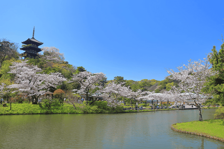 ヒルデモア三渓園イメージ1