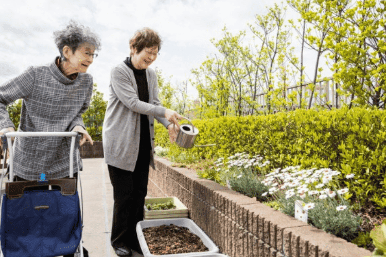 ブランシエール大宮公園（本館）イメージ4