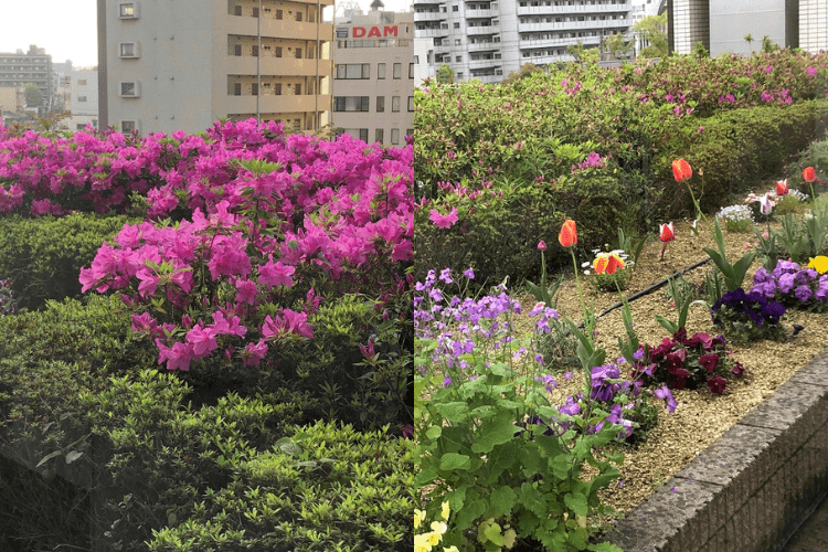 アビタシオン京成千葉中央イメージ4