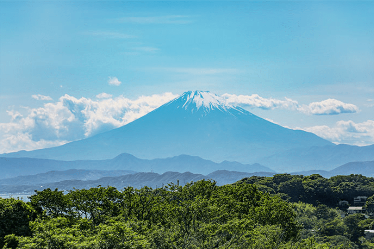 チャームプレミア 鎌倉山イメージ4